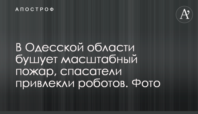 В Одесской области бушует масштабный пожар, спасатели привлекли роботов. Фото