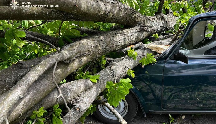 В Україні вирує негода: дерева падають на автівки і дороги. Фото