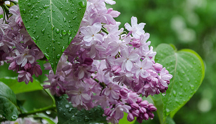 Заморозки, дожди и +20: вторник в Украине покажет весь погодный калейдоскоп