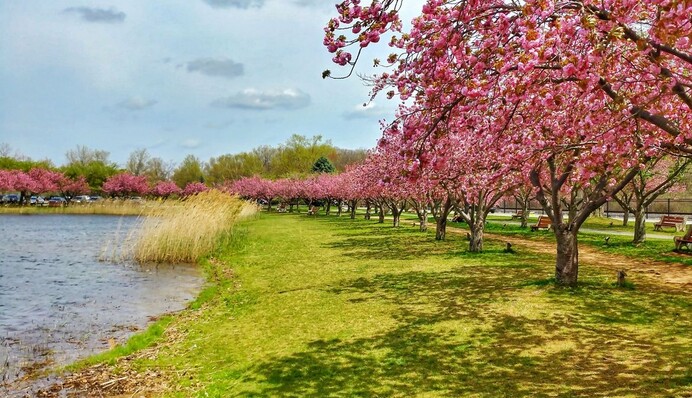 Этот день символизирует настоящий приход весны: какой праздник 23 апреля и что запрещено делать
