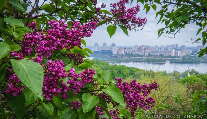 Когда в Украину вернется жара: дата потепления