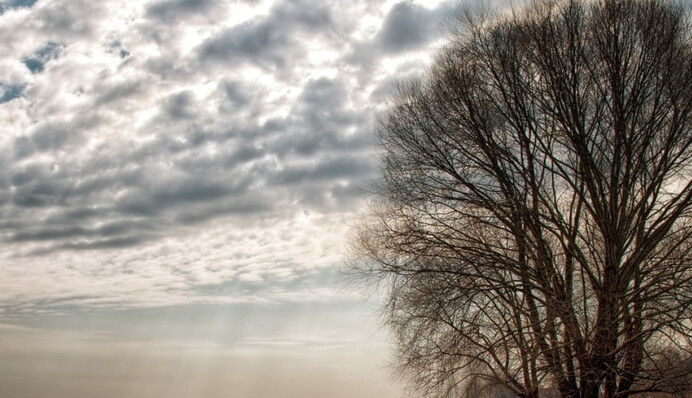 Дощі підуть, але не без сюрпризів: що чекати від погоди у вівторок