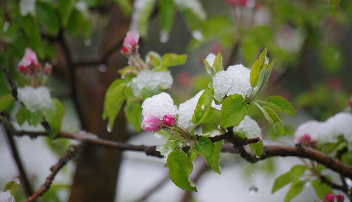 З літа відразу в зиму: в Європі зафіксували рекордний перепад температури