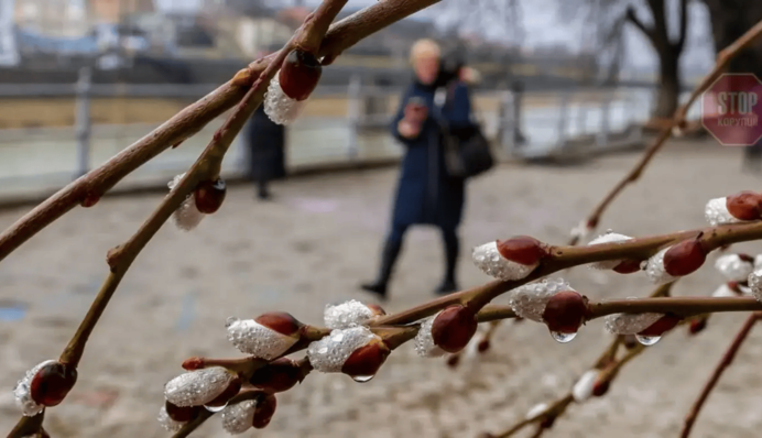 Холод еще задержится, но дожди уже уйдут: синоптик назвала дату долгожданного потепления