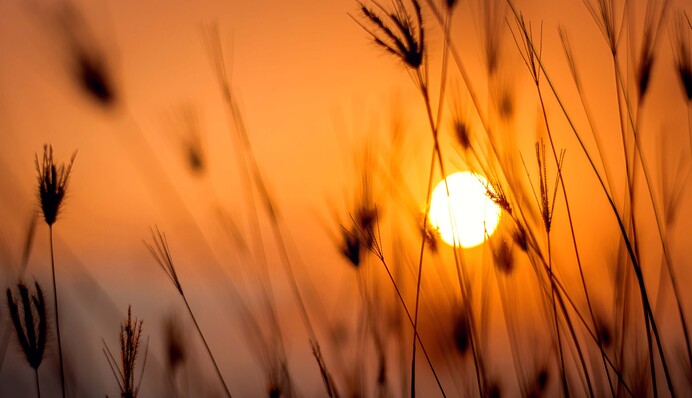 ​На нас чекають великі випробування: пророцтво старця Прохора про закінчення війни в Україні
