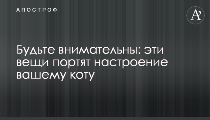 Будьте уважні: ці речі псують настрій вашому коту