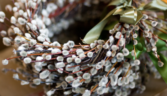 Вербное воскресенье 2024: когда отмечают праздник католики и православные