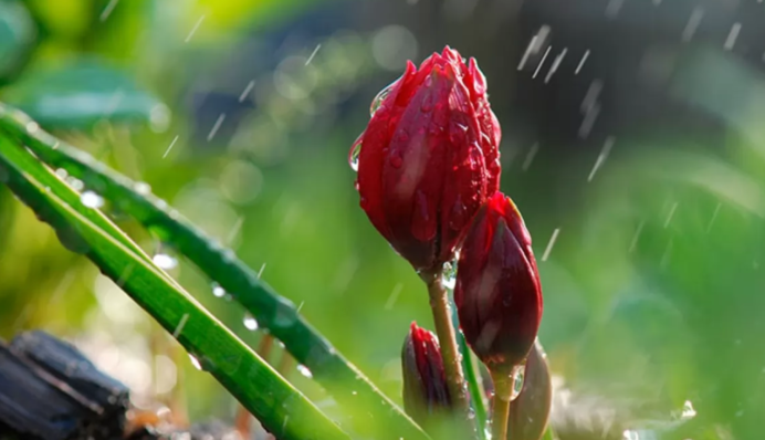 Грозовая пятница и идеальные выходные: свежий прогноз погоды до конца недели