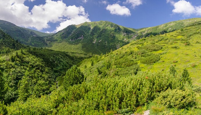Отдых на майские праздники в Карпатах: где можно остановиться на выходные и сколько стоит
