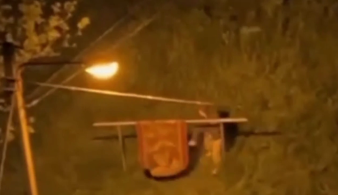 Час вибивати килим: у Львові чоловік налякав сусідів під час повітряної тривоги. Відео