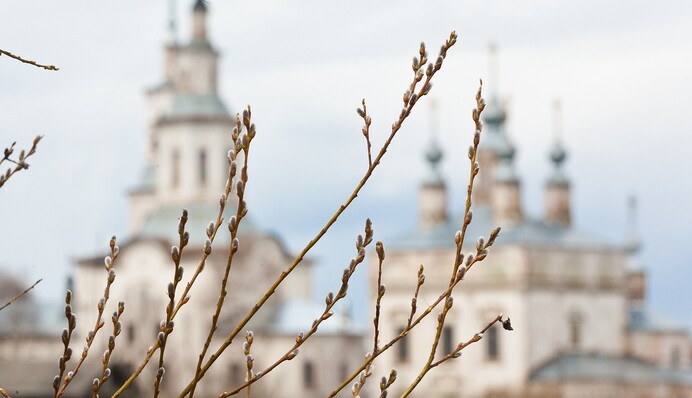 Как и когда освящать вербу: советы накануне праздника