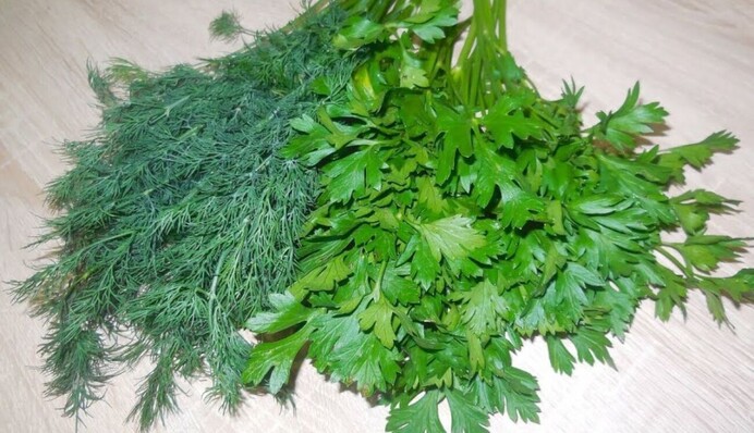 Обладают магическими свойствами: приметы, связанные с укропом и петрушкой