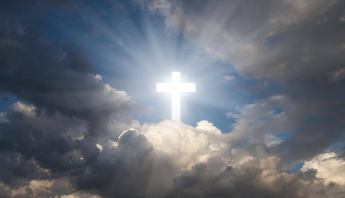 Лекарственные травы обладают особой силой: какой праздник 29 апреля и что нельзя делать в этот день