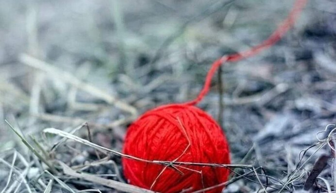 Обратите внимание, чтобы потом не жалеть: эти находки у порога могут принести беду