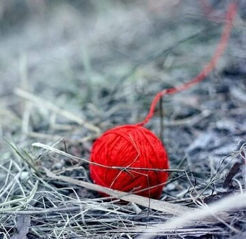 Обратите внимание, чтобы потом не жалеть: эти находки у порога могут принести беду