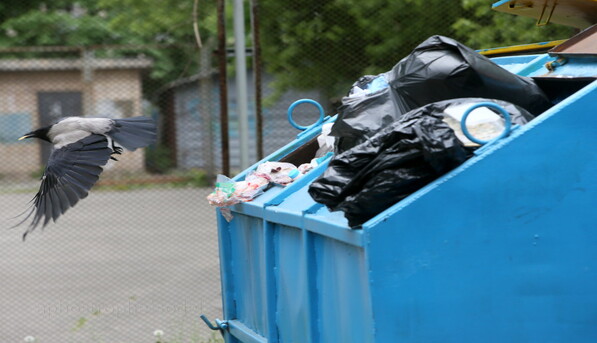 Инфляция в Венесуэле выросла до рекордных 63,4%