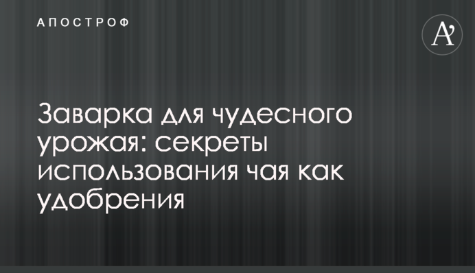 Заварка для чудесного урожая: секреты использования чая как удобрения