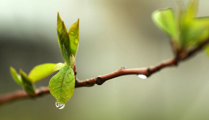 Тепло і сонячно, але подекуди прогримлять грози: прогноз синоптиків на початок тижня