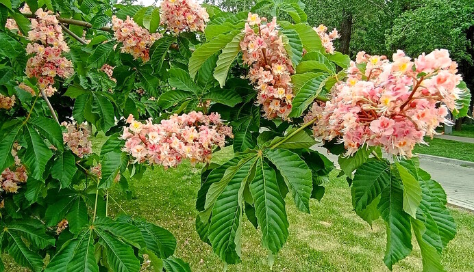 Заморозки, грозы и температурные качели: какую погоду ждать на новой неделе