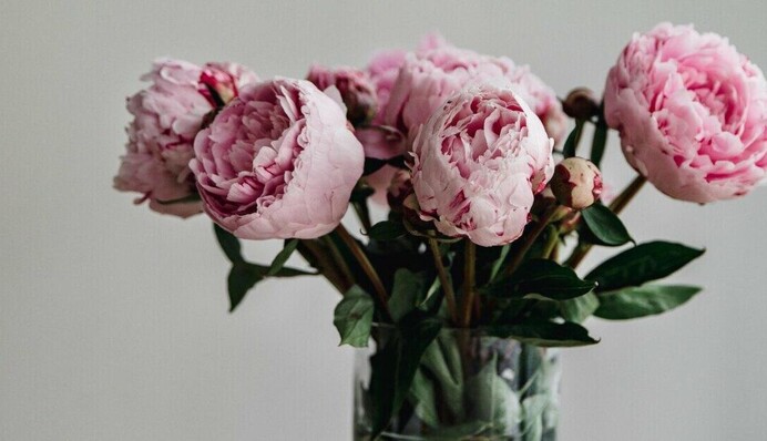 Що покласти у вазу, аби квіти стояли довше: секрети флориста