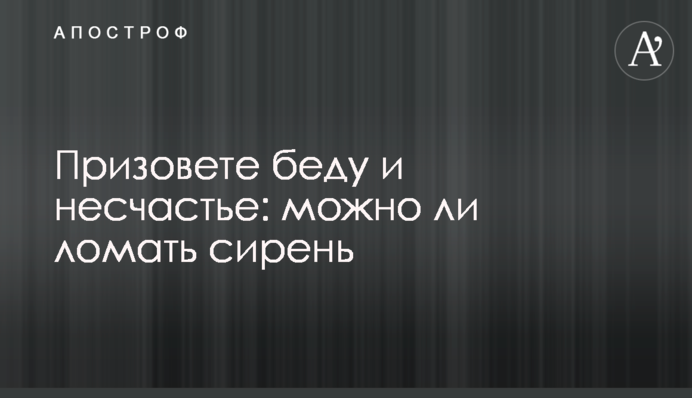 Призовете беду и несчастье: можно ли ломать сирень