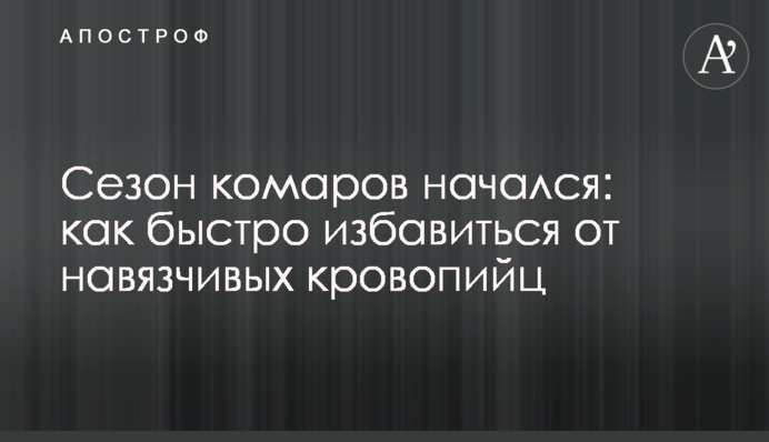 Сезон комаров начался: как быстро избавиться от навязчивых кровопийц