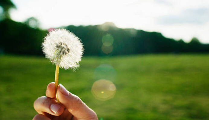 Травень почнеться майже літнім теплом: де буде +25