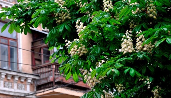 В Україну йде похолодання: яку погоду чекати на Великдень