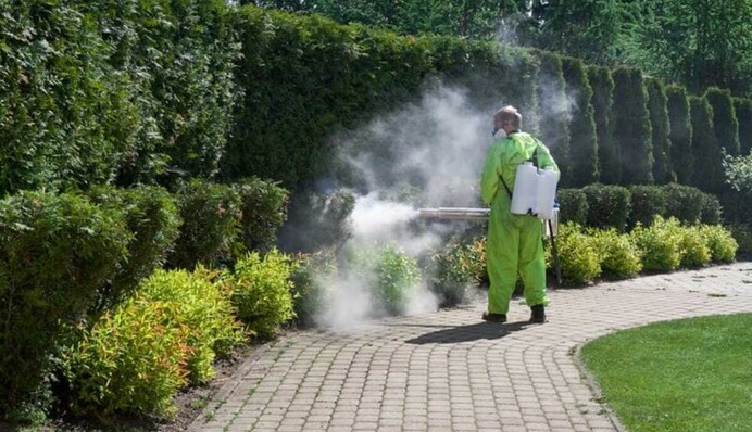 В Киеве запретили посещать популярные парки: названа причина