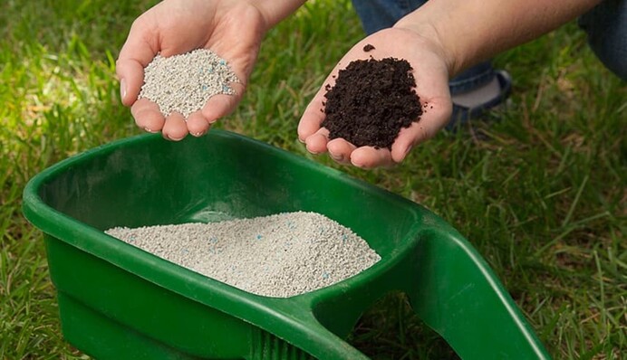 Поліпшує родючість ґрунту і врожайність культур: як внести селітру на городі