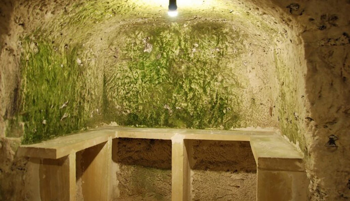 Як позбутися плісняви на стінах: існує простий рецепт