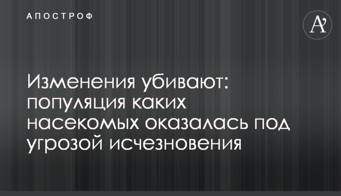 Изменения убивают: популяция каких насекомых оказалась под угрозой исчезновения