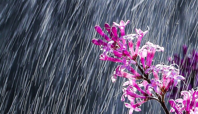 Місцями будуть грози і нетривалі дощі: прогноз погоди на 7 травня