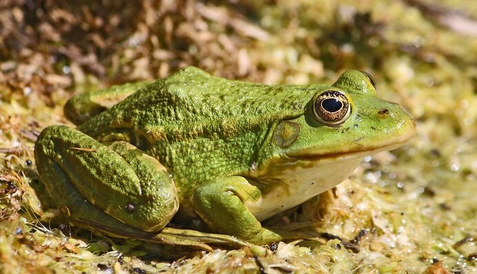 Как часто вы обижаетесь: ответ даст тест в картинке