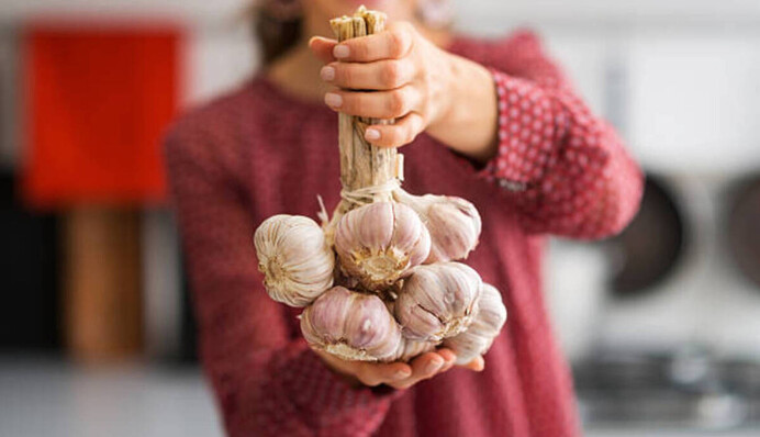 Не буде жовтіти та виросте великим: чим у травні-червні підживити часник