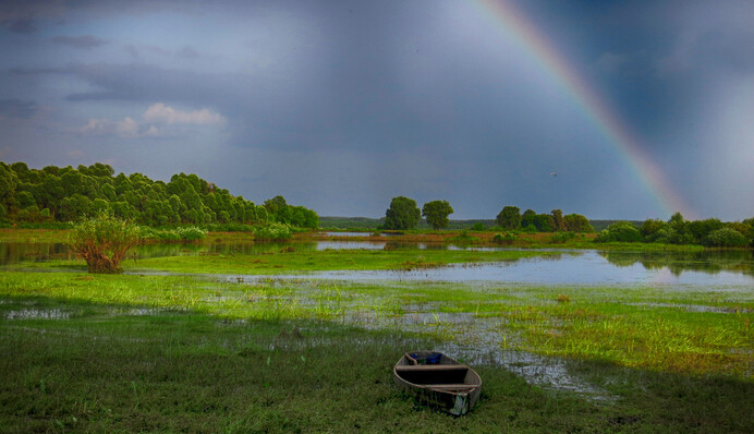 9 мая в истории: последнее путешествие Колумба и избрание Петлюры главой Директории УНР