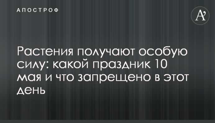 Растения получают особую силу: какой праздник 10 мая и что запрещено в этот день
