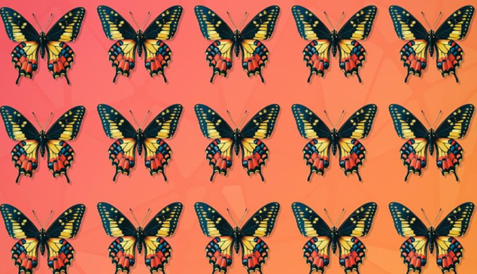 Заставит понервничать: эту головоломку надо решить за 10 секунд