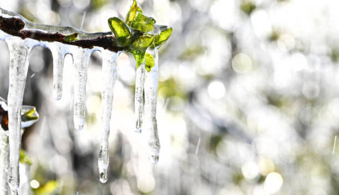 В Украину идут дожди с грозами и заморозки: даты непогоды