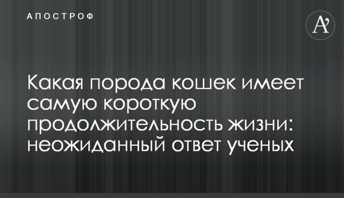 Яка порода котів має найкоротшу тривалість життя: несподівана відповідь вчених