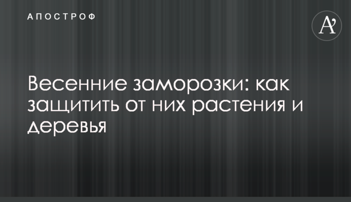 Весняні заморозки: як захистити від них рослини та дерева