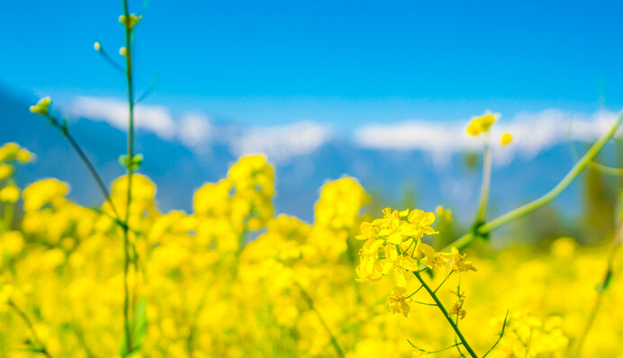 До України після заморозків з дощами прийде потепління: дата і прогноз на тиждень