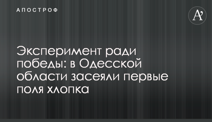 Эксперимент ради победы: в Одесской области засеяли первые поля хлопка