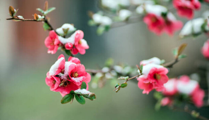 Тепла не ждать? Когда закончится майский 