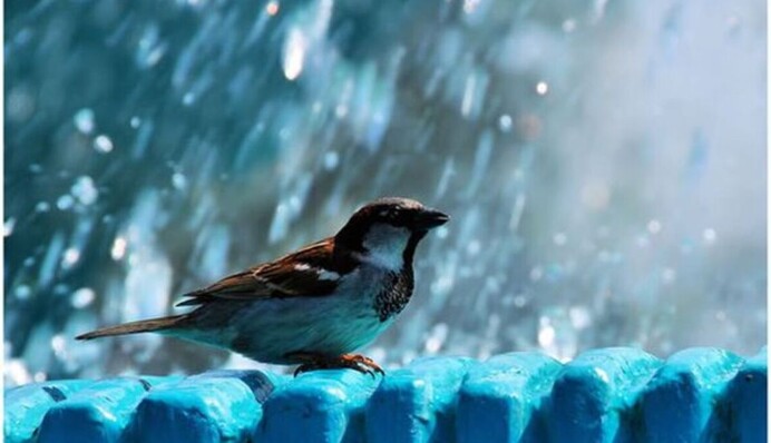 В частині України гримітимуть грози, подекуди заморозки: прогноз синоптиків на 15 травня