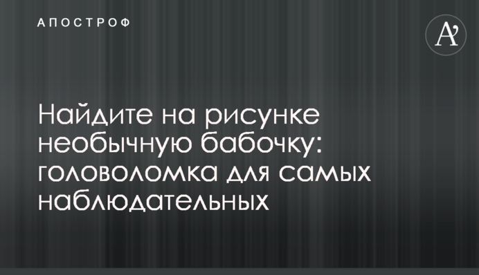 Найдите на рисунке необычную бабочку: головоломка для самых наблюдательных
