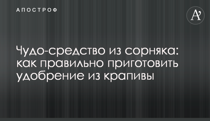 Чудо-средство из сорняка: как правильно приготовить удобрение из крапивы