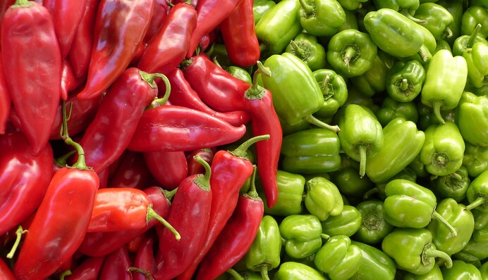 Как правильно полить перец и сколько воды потратить на каждый куст