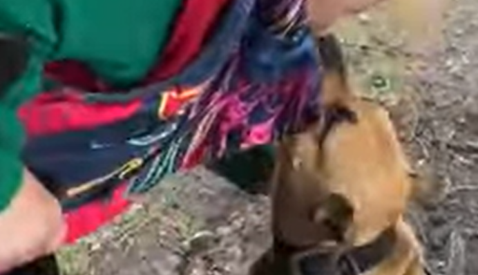 Невозможно смотреть без слез: женщина из Волчанска попрощалась со своей собачкой. Видео