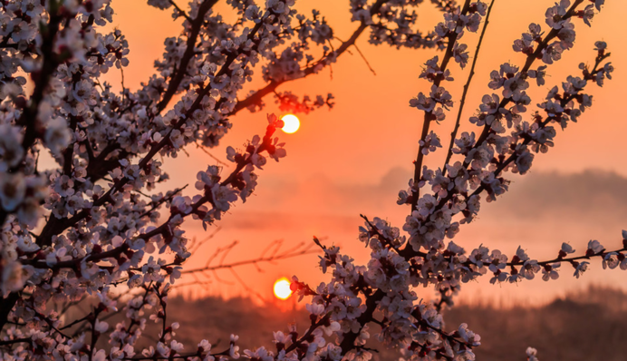 Приготуйте щось смачне: яке свято 18 травня і що заборонено робити у цей день